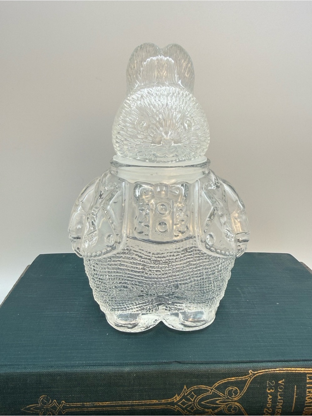 Vintage Clear Glass Boy Bunny Candy Jar Chubby 6.75" Rabbit Snack